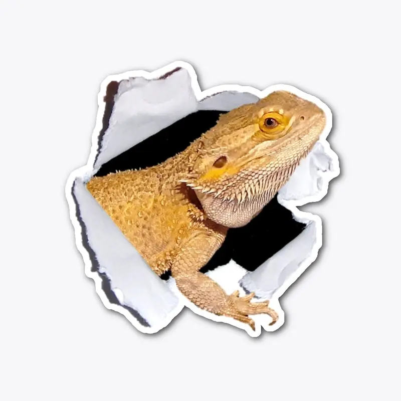 Break Out- Bearded Dragon