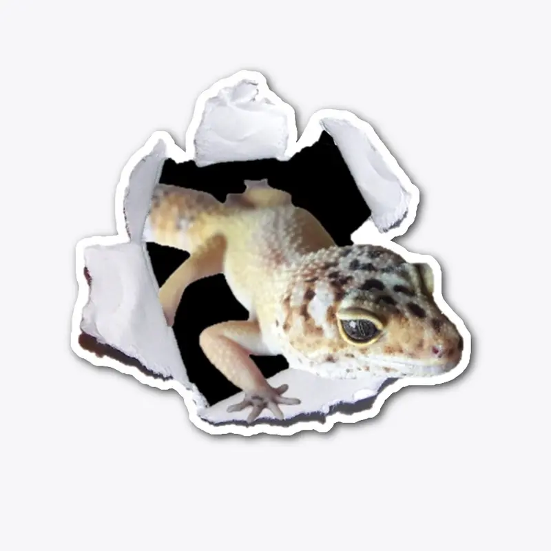 Leopard Gecko Break Out